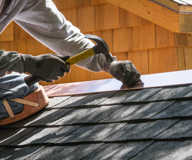 Roof Gutter Cleaning in Beaver Dam, KY